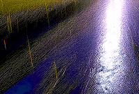 Image 18 of ELECTRIC RAIN