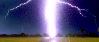 Image 19 of ELECTRIC RAIN