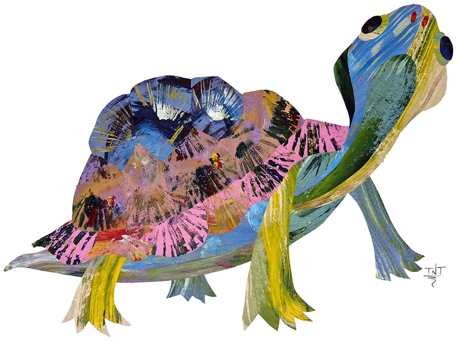 Image of TORTUGA - print -