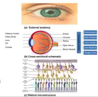 Body Electronics body regeneration!