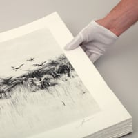 Image 2 of Drones Hunters - Main Edition AP