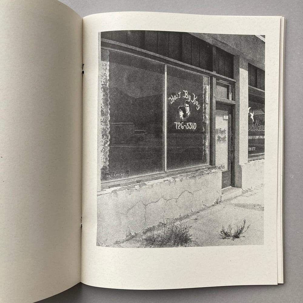 The Shady Motel & Other American Monuments by James Meredew