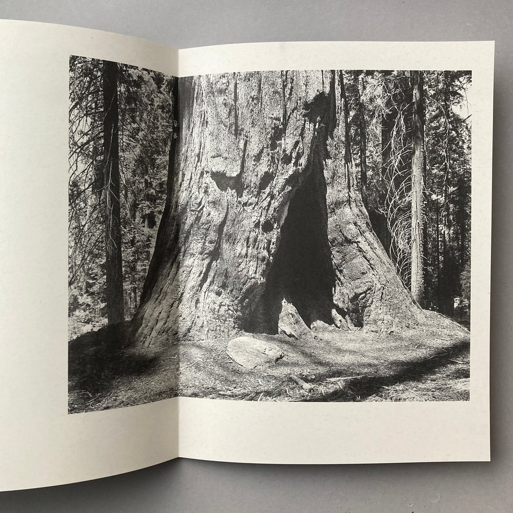 The Shady Motel & Other American Monuments by James Meredew