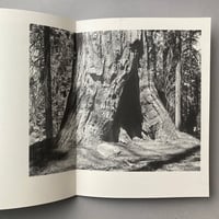 Image 5 of The Shady Motel & Other American Monuments by James Meredew