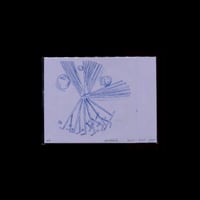 Image 2 of MEET & GREET