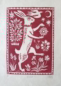 Image 1 of Hare!