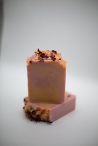 Hibiscus Pomegranate