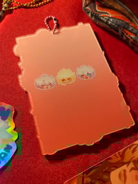 Image 3 of PHAIDEI POCA HOLDERS