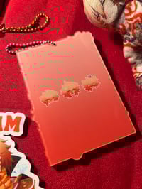 Image 5 of PHAIDEI POCA HOLDERS