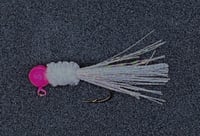 Image 2 of White-Pink Shiner
