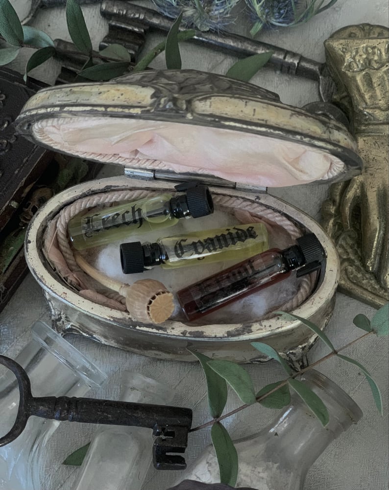 Image of P h a r m a k e i a   :  Winter Collection 25/26