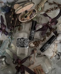 Image 2 of P h a r m a k e i a   :  Winter Collection 25/26