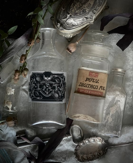 Image of P h a r m a k e i a   :  Winter Collection 25/26