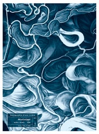 Image 1 of Mississippi - format 30x40