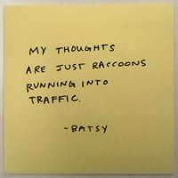 Raccoon poem 