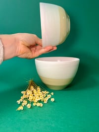 Image 4 of Bol Ninimenta