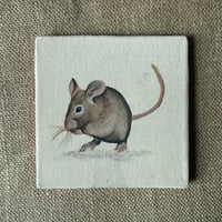 Image 2 of Mouse Tile