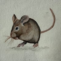 Image 1 of Mouse Tile