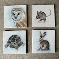 Image 1 of Tortoise Tile