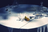 Image 4 of Nos vies sauvages - Ayline Olukman