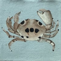 Image 2 of Crab Plaque