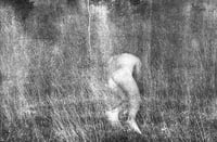 Image 8 of Nos vies sauvages - Ayline Olukman