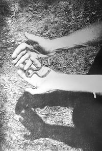 Image 12 of Nos vies sauvages - Ayline Olukman