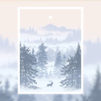 Morning Has Broken - 2017