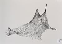 Image 1 of Physics Study I, U.S. Roads Hoist 