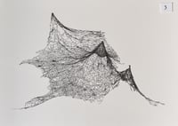 Image 3 of Physics Study I, U.S. Roads Hoist 