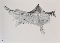 Image 4 of Physics Study I, U.S. Roads Hoist 