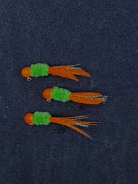 Image 4 of Orange Parrot