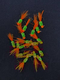 Image 1 of Orange Parrot