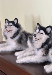 Image 1 of 12” Malemute husky