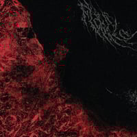 Image 2 of FLAGELO - "Insaciable" cassette