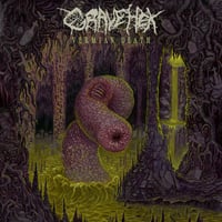 Image 2 of GRAVE HEX - "Vermian Death" cassette