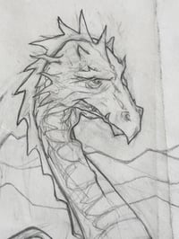 Image 1 of ‘A Study of a Dragon Elder’