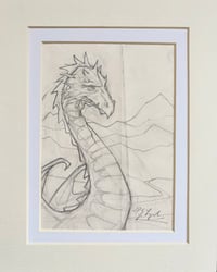 Image 2 of ‘A Study of a Dragon Elder’