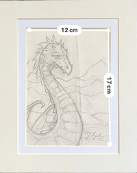 Image 4 of ‘A Study of a Dragon Elder’