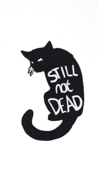 Still Not Dead Cat Patch