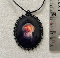 Ornament Prints: Jellyfish
