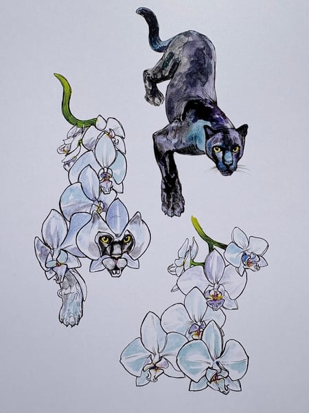 Image of Orchid Panther Laserprint 8”x10”