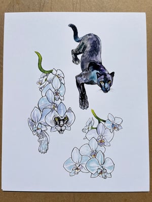 Image of Orchid Panther Laserprint 8”x10”