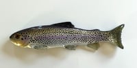 Image 1 of 9.25" Line Through/Weedless Trout - 9$ Rainbow Full Dot