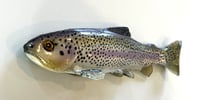 Image 2 of 9.25" Line Through/Weedless Trout - 9$ Rainbow Full Dot
