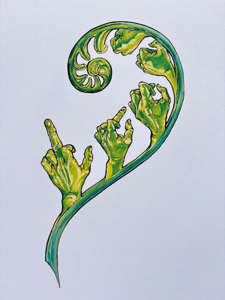 Image of Finger Fern Laserprint  8”x10”