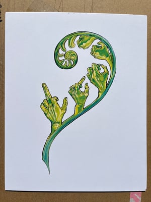 Image of Finger Fern Laserprint  8”x10”