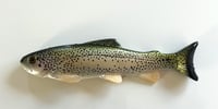 Image 1 of 9.25" Line Through/Weedless Trout - WB Green Back
