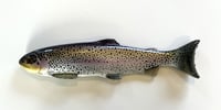 Image 1 of 12" Line Through - $9 Trout Full Dot