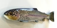 Image 2 of 12" Line Through - $9 Trout Full Dot